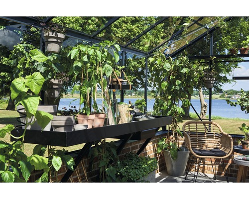 JULIANA Premium kas 13,0 m² 3 mm veiligheidsglas voor metselwerkfundament 296 x 439 cm antraciet/zwart