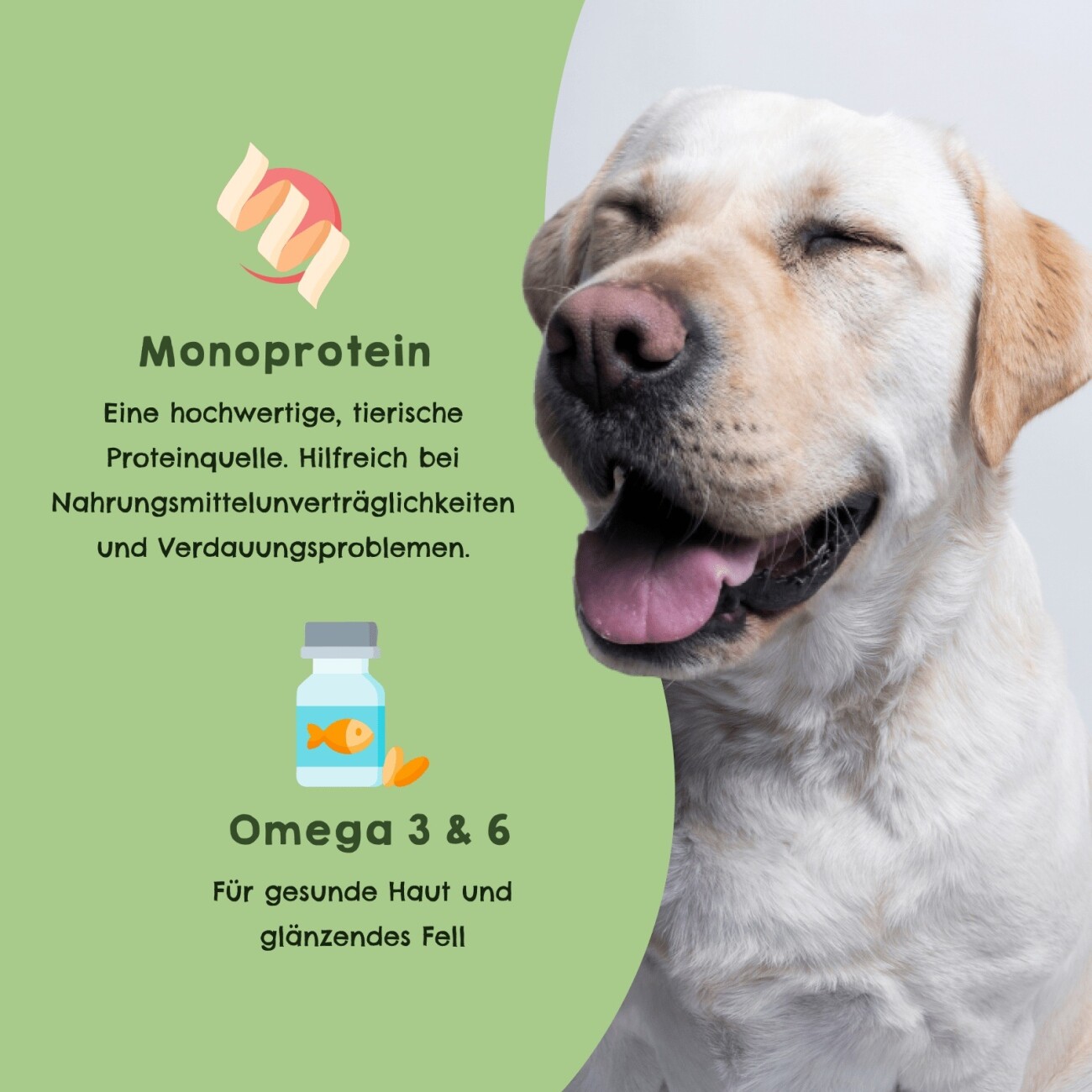 HAPPY JACKY Nassfutter Monoprotein Rind und Kartoffel 6x820 g
