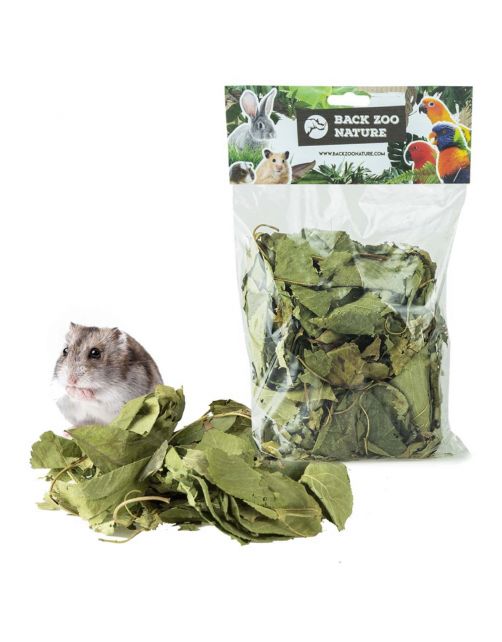 Back Zoo Nature Discovery Leaves Orchard - Natuurlijk Speelgoed - ca. 65 g