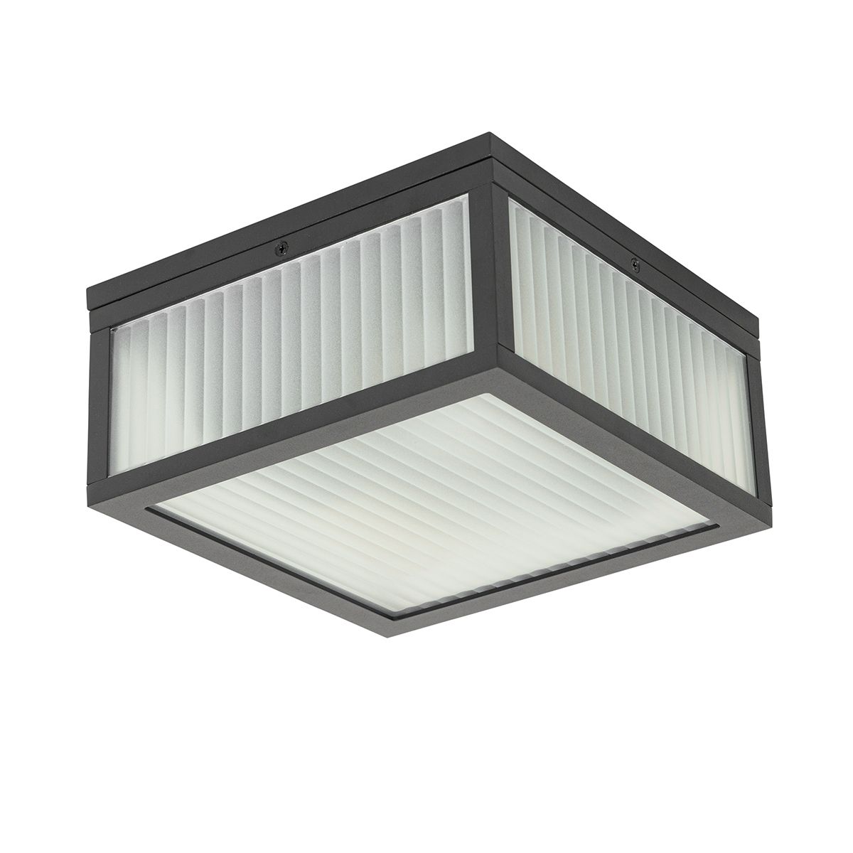 Buiten plafondlamp zwart met ribbel glas 2-lichts IP44 - Charlois