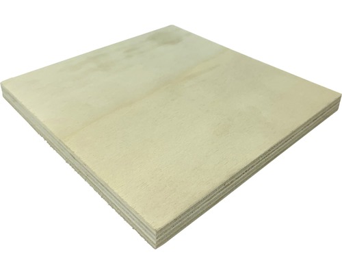 Vaste afmetingen populieren multiplex 800x600x10 mm