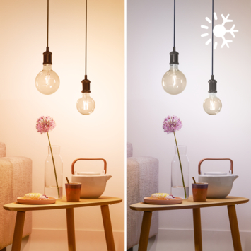 Philips Smart E27-fitting 50 watt