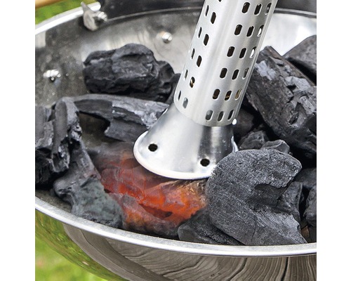 GLORIA Thermoflamm bio Electro - elektrische onkruidverdelger, onkruidbrander, vlamonkruidverdelger, grillaansteker, tegen onkruid met een warmtestraal