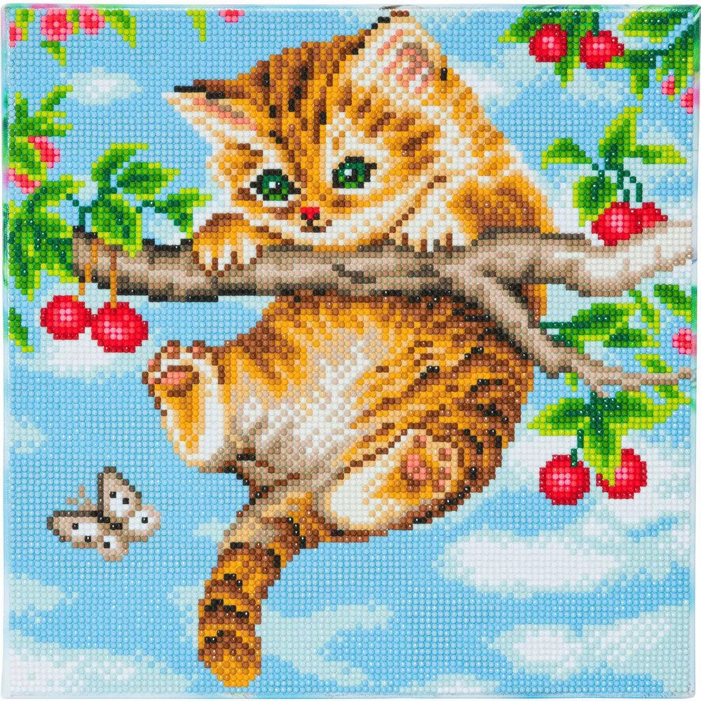 CRYSTAL ART KIT TABLEAU BRODERIE DIAMANT 30X30CM CHATON