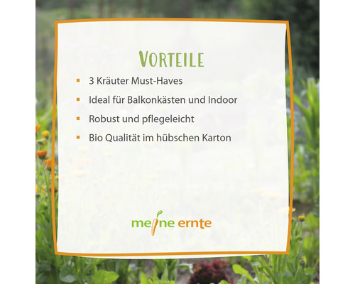 Biologisch kruidenzaadpakket 