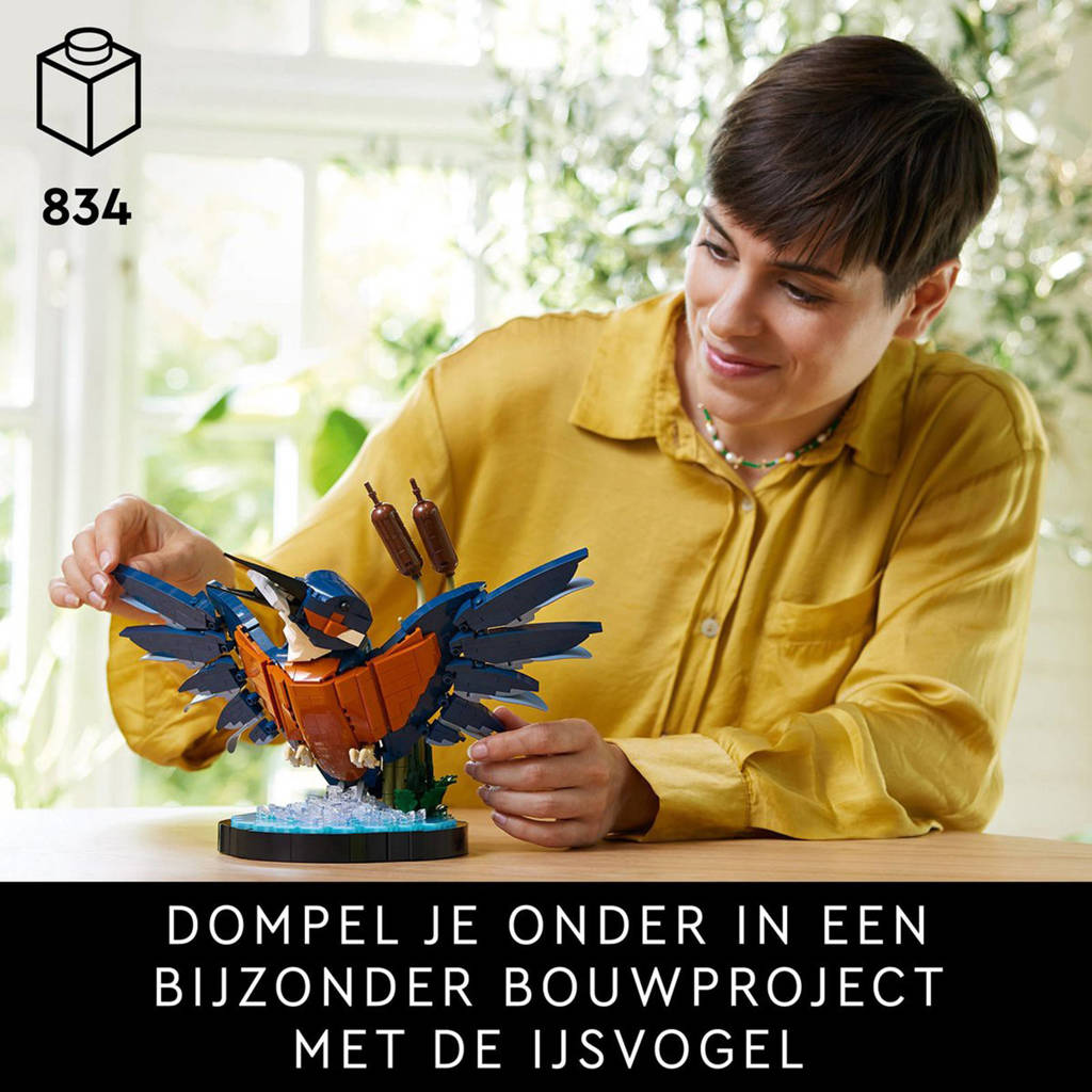 Top setje!IJsvogel 10331