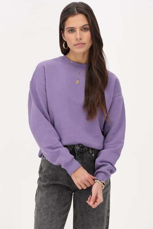 Paarse sweater 