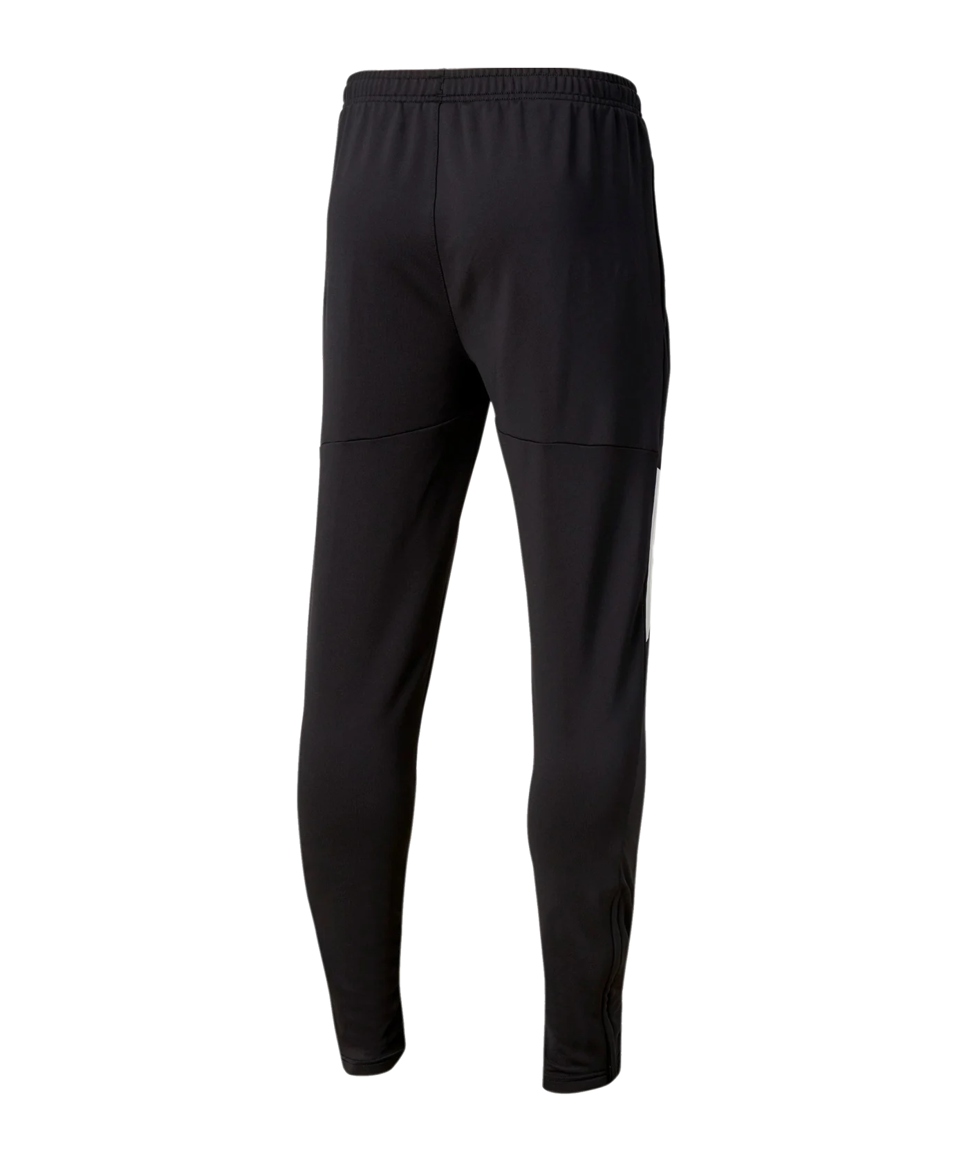 PUMA teamLIGA Pro Trainingshose Schwarz F03
