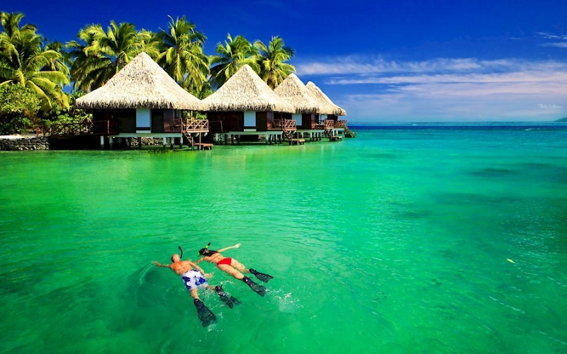 Hotel The Barefoot Eco
