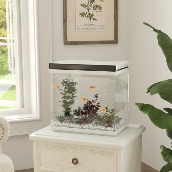 26 liters akvarium med filter, LED-belysning, vannpumpe, for ulike typer fisk, ca 38 x 26 x 38 cm