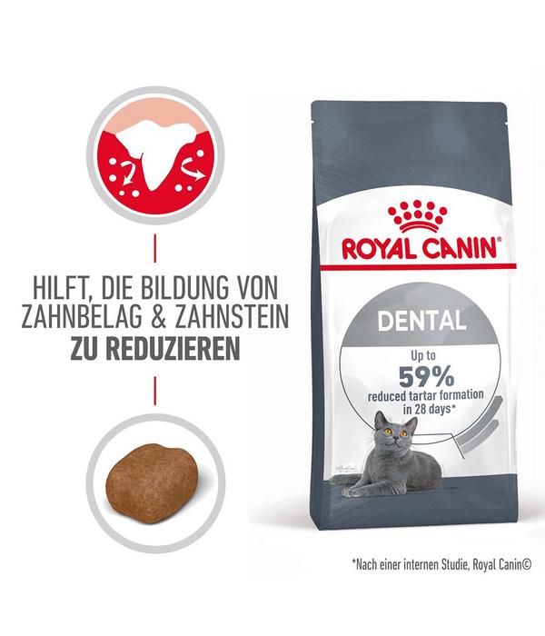 ROYAL CANIN® Trockenfutter für Katzen Dental