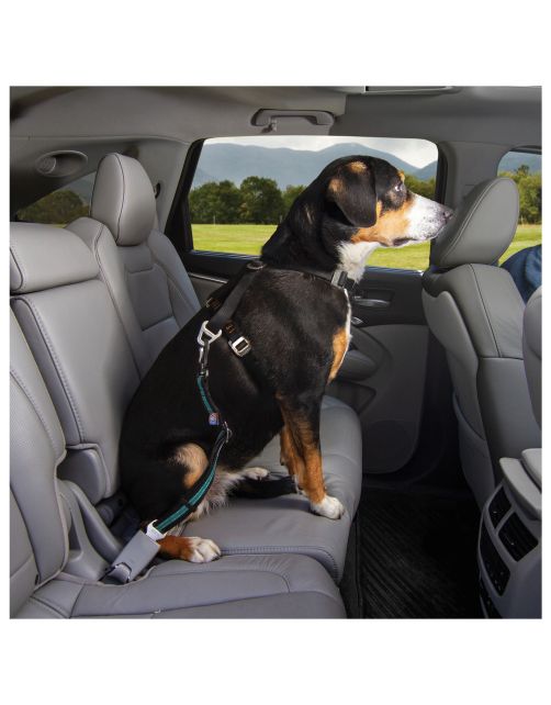 Kurgo Seatbelt Swivel Tether - Hondenautoaccessoire - Blauw Zwart