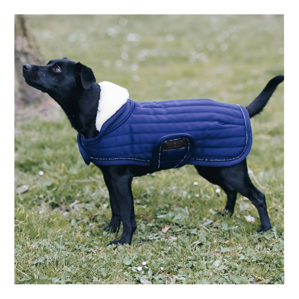 Kentucky PEARLS 160G - Couverture pour chien navy