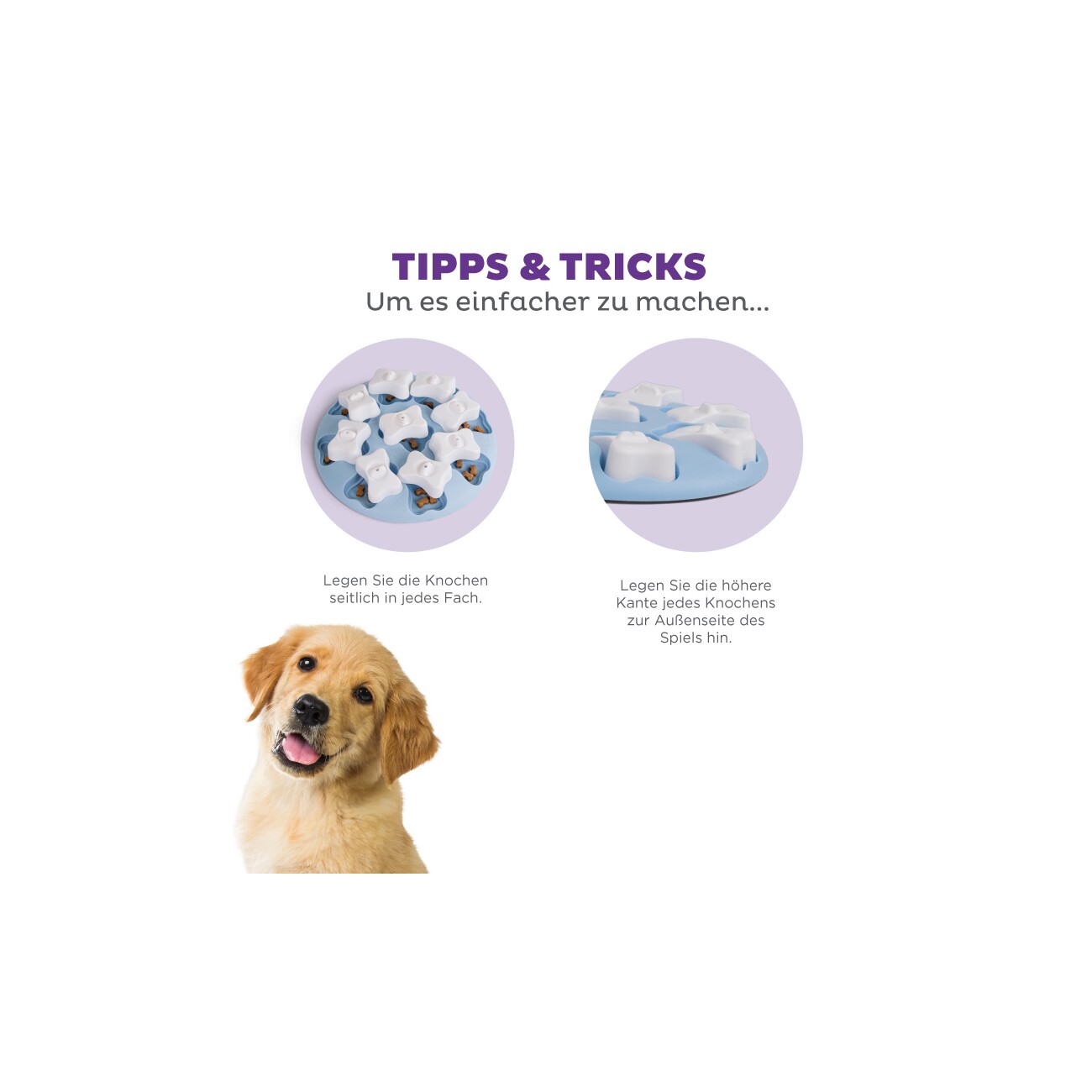 Nina Ottosson Puppy Smart Intelligenzspielzeug