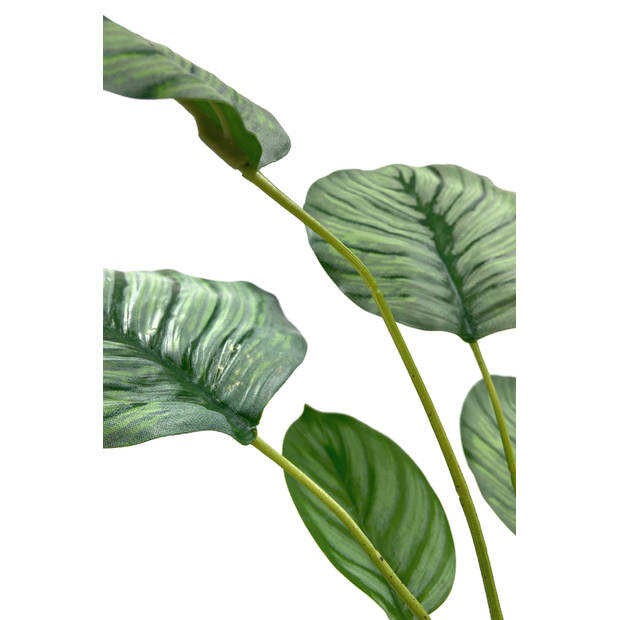 Emerald Kunstplant in pot calathea orbifolia 45 cm