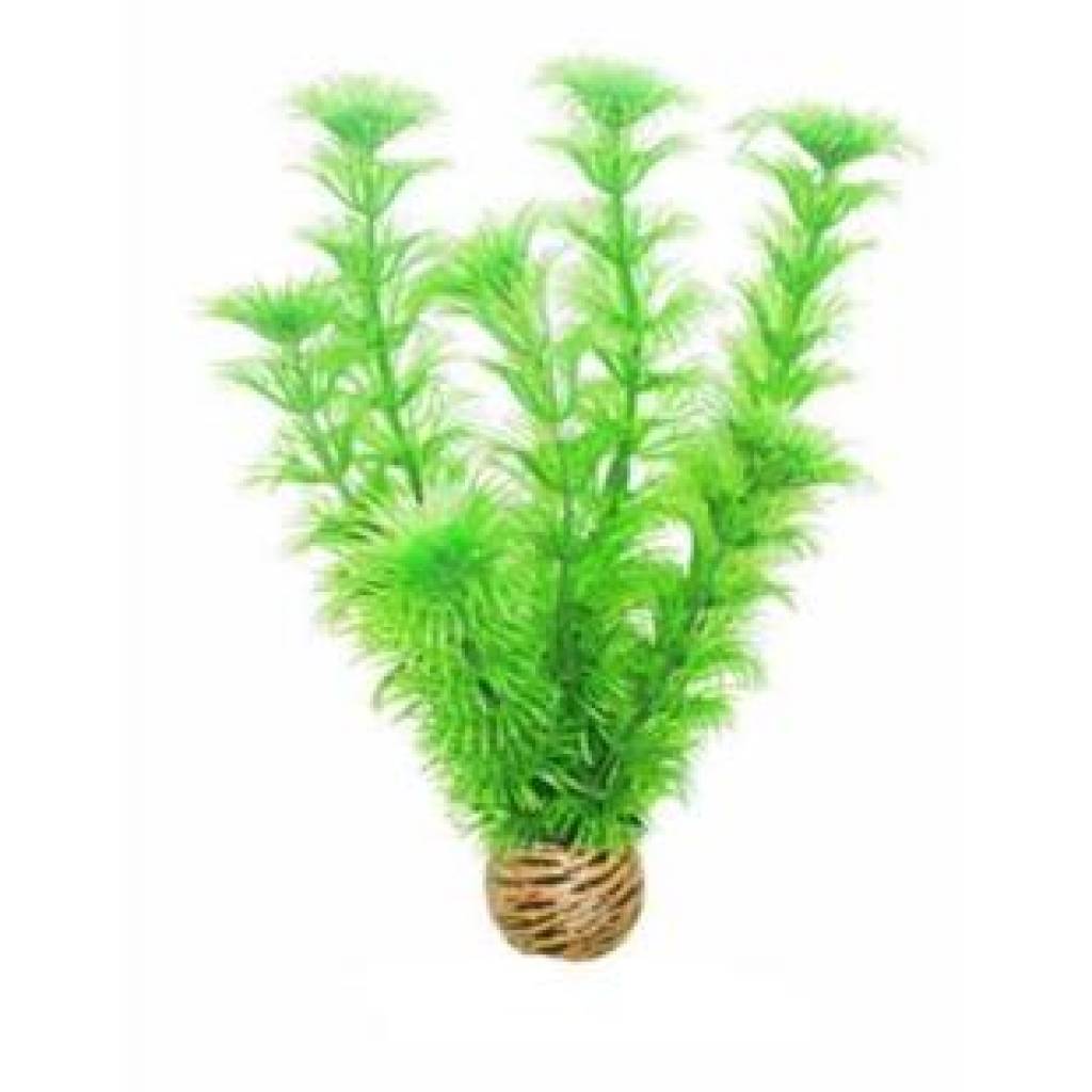 Easy plants middel 20 cm NR.4, duurzaam.