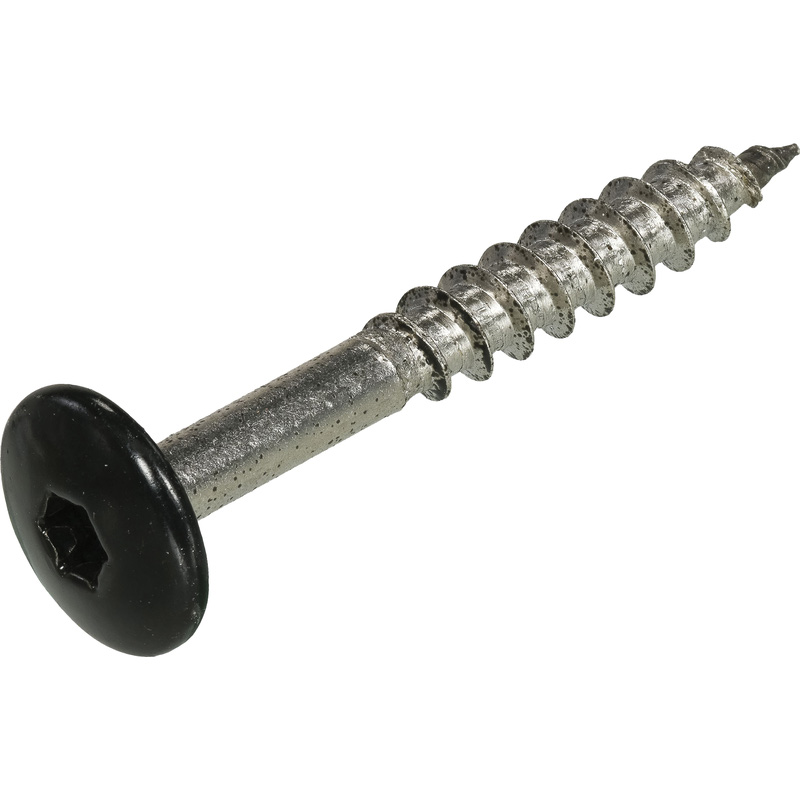 Kleurkop schroeven RVS 4,8x38mm TX20 RAL 9005 Zwart