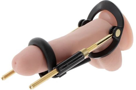 Penis Growth Basic Training Set - Hidden Desire