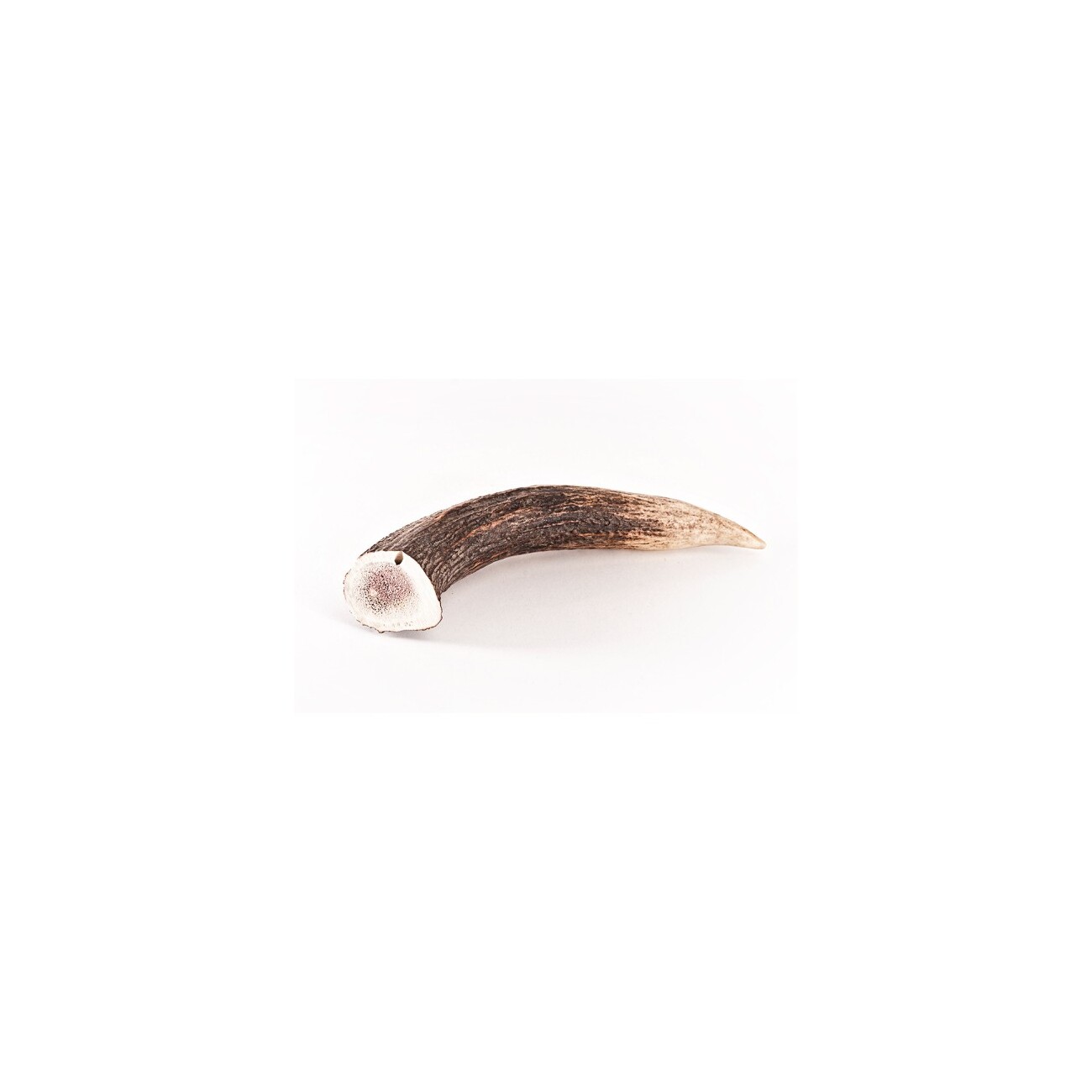 Bellfor Hundesnack - Hirsch-Geweihe XXL - 160g