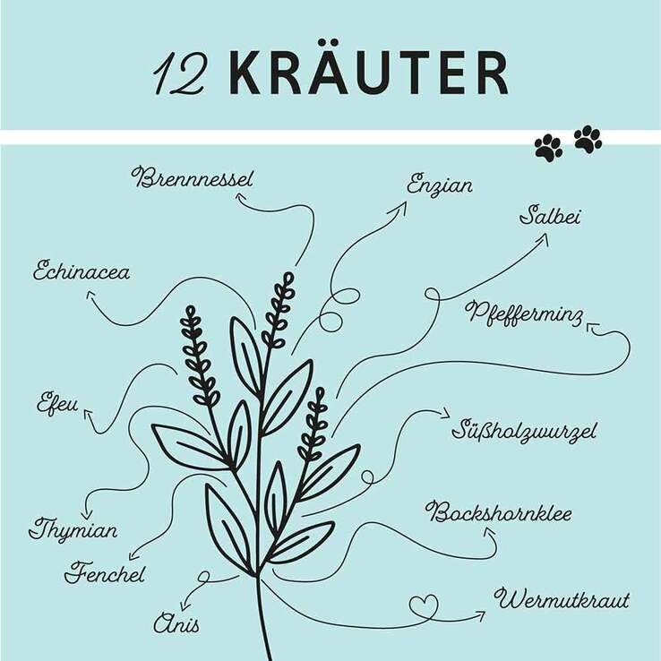 Bronchial Plus Atemwegsmischung Saft für Hunde, 100 ml