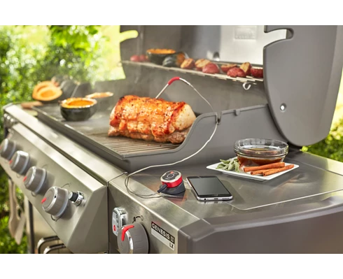 Weber iGrill 2