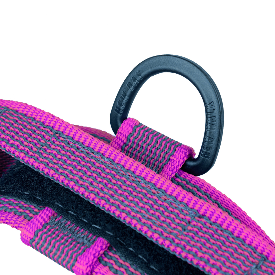 Coleira Julius K9 IDC com fita rosa