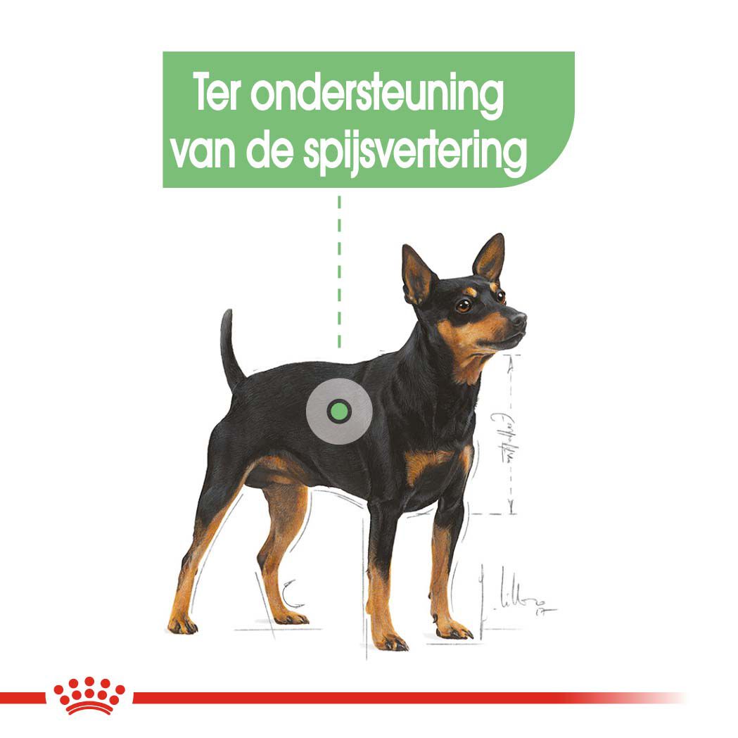 Royal Canin Digestive Care Mini - Hondenvoer - 8 Kilogram - gevogelte