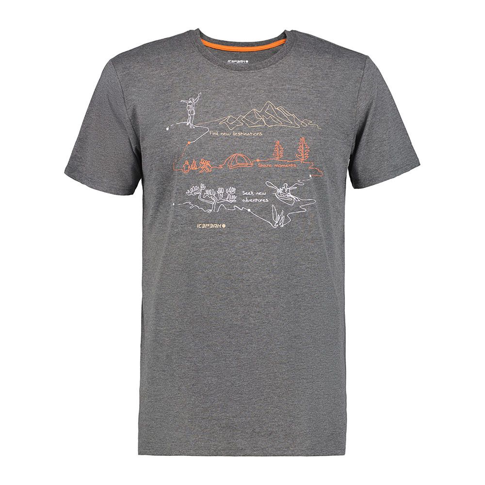 Icepeak BEEVILLE - Tee-shirt Homme lead grey
