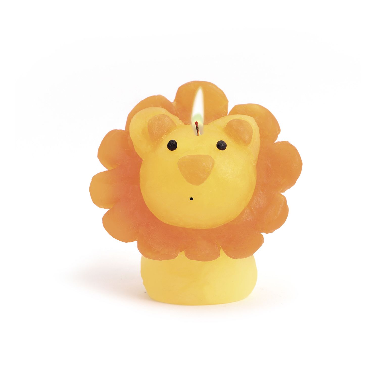 Coffret diy bougies à modeler animaux sauvages