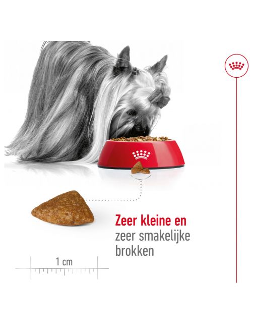 Royal Canin X-Small Ageing 12+ - Hondenvoer