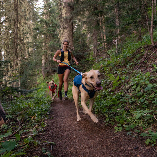 Ruffwear Roamer Leash