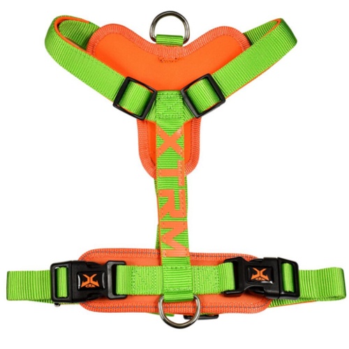 Coleira para cães X-TRM Cronos verde neon
