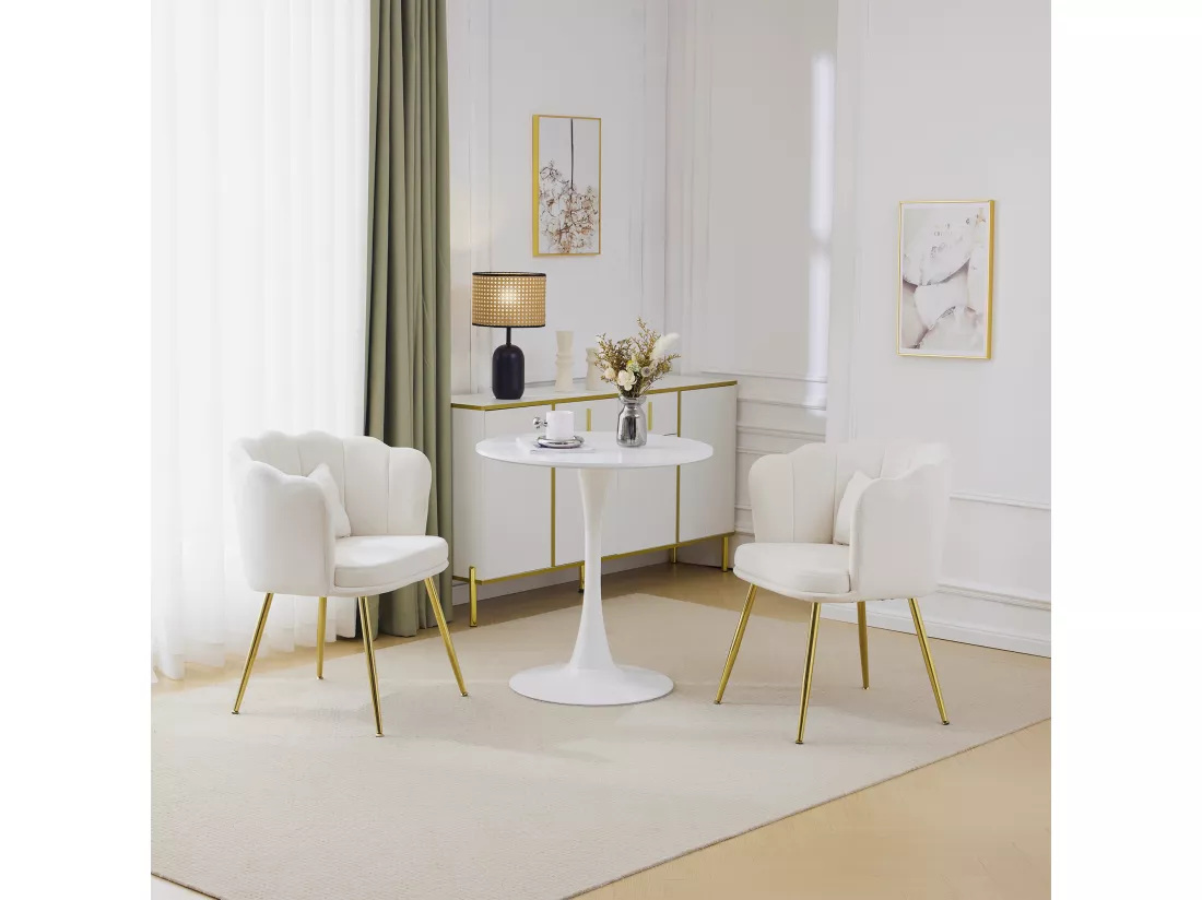 Haobosic - Set de 2 Chaises Modernes en Velours avec Dossier en Forme de Pétale, Pieds en Métal Doré, Coussins Confortables pour Salon