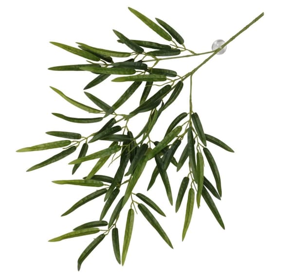 Hengende plante med sugekopper Bambus 65x35x4cm grønn