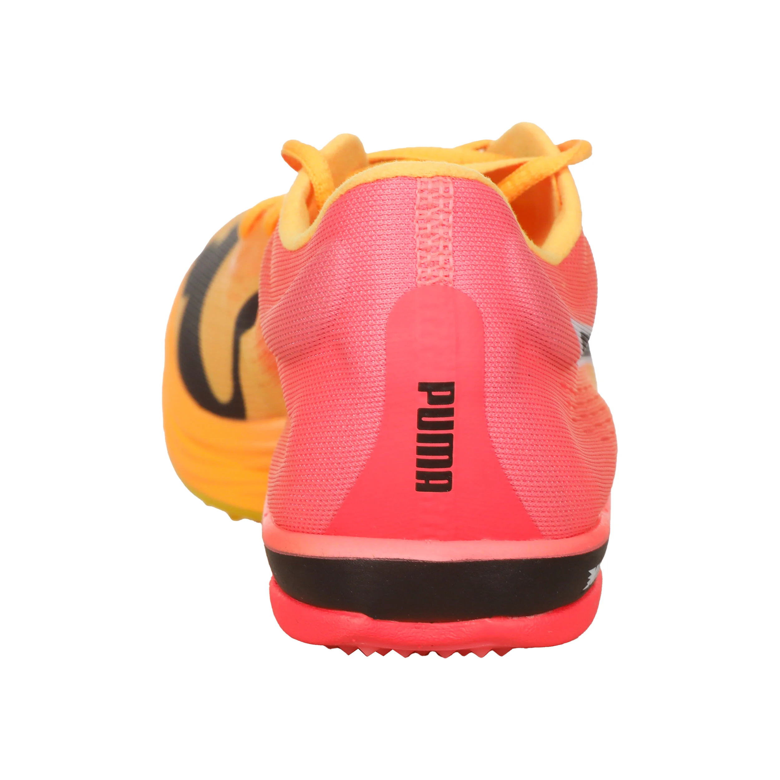 Puma EvoSPEED Long Distance Nitro Elite+ Spikes Hommes - Orange , Pink