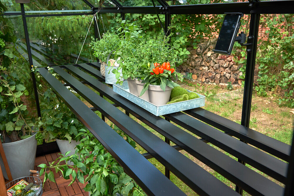 HALLS Qube 816 - Kweektafel