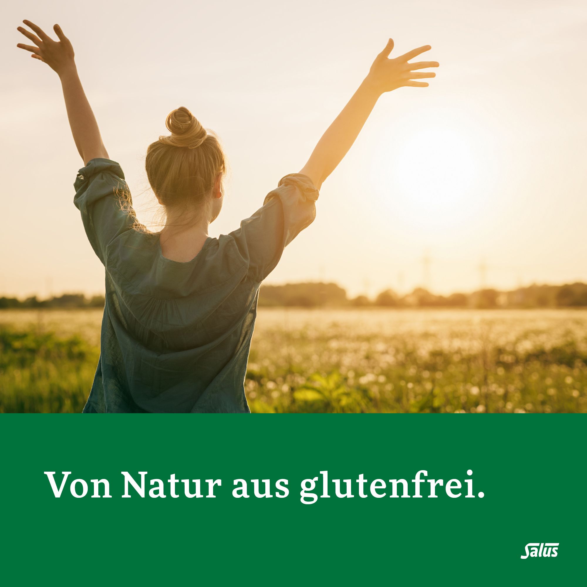 Salus FreeBalance Löwenzahn-Brennnessel Basischer Tee