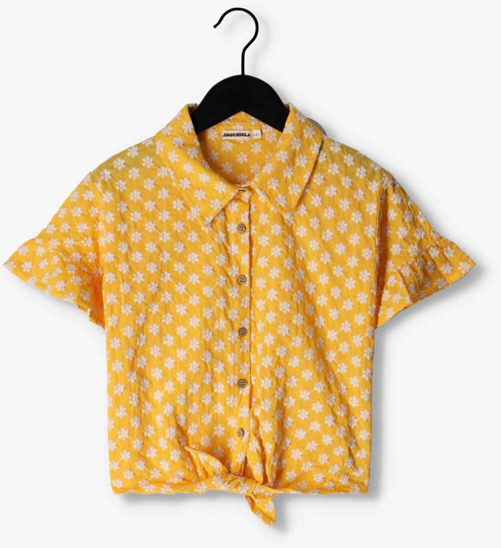 AMMEHOELA gele ammehoela blouse am.maan.02