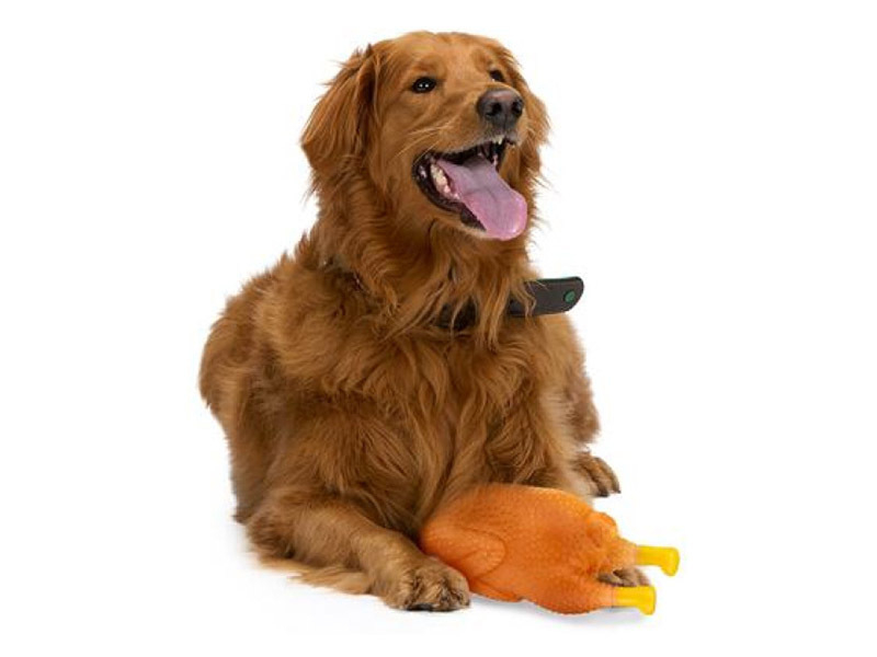 Pet Toys hondenspeelgoed - kalkoen