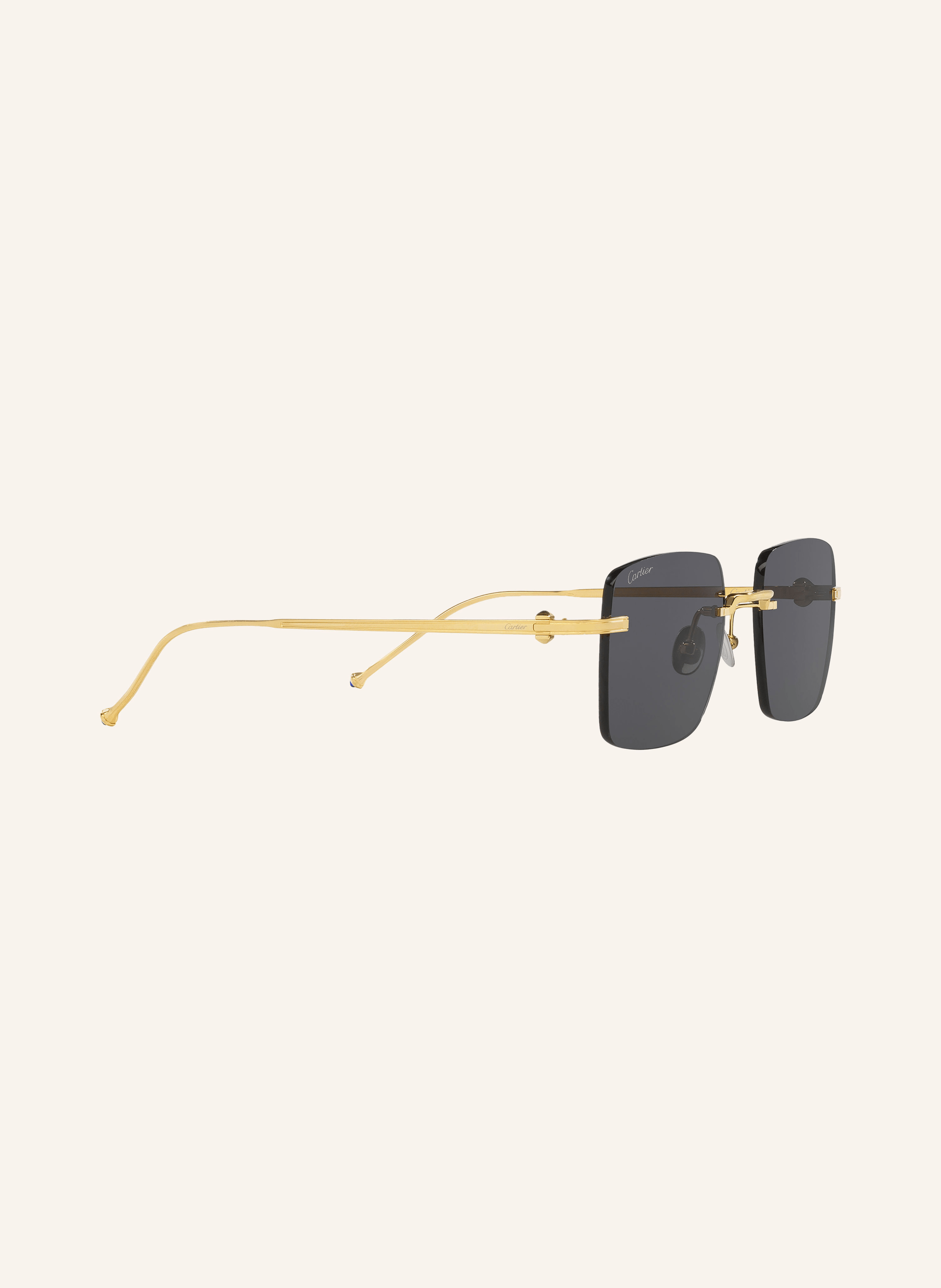 Cartier Sonnenbrille 6L001668
