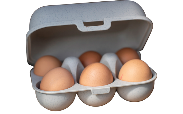 Koziol Eggs to go mini Eierbox für 6 Eier