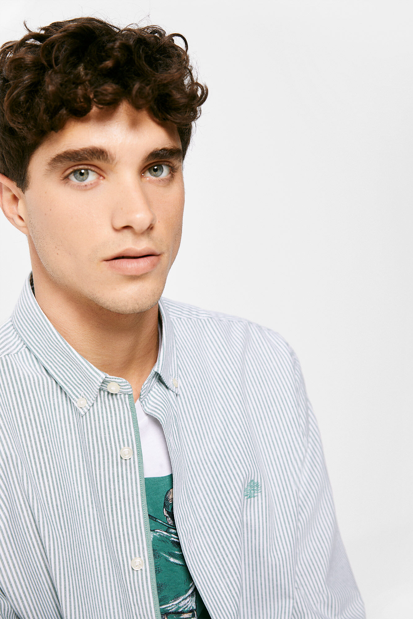 Camisa listrada Pintpoint - verde