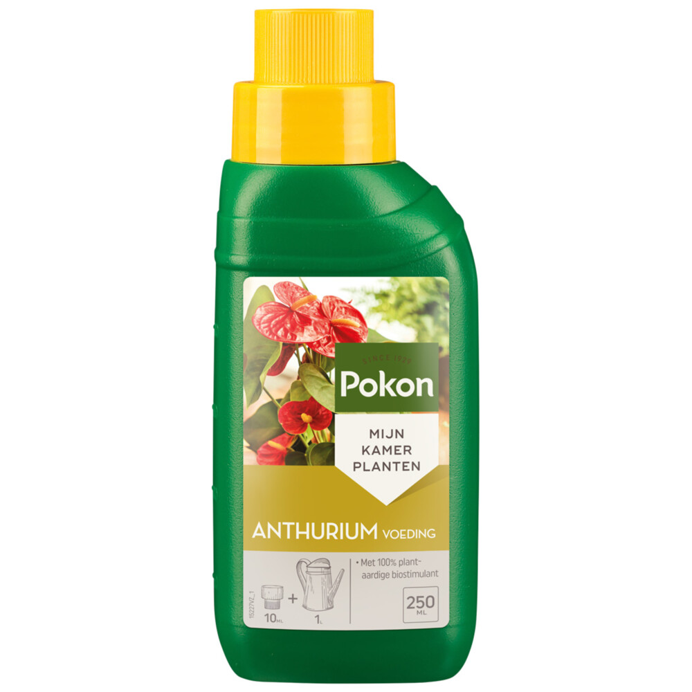 Pokon Planten Voeding Anthurium500 ml
