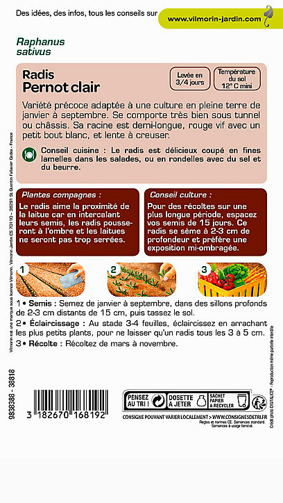 Graines de Radis Pernot Vilmorin