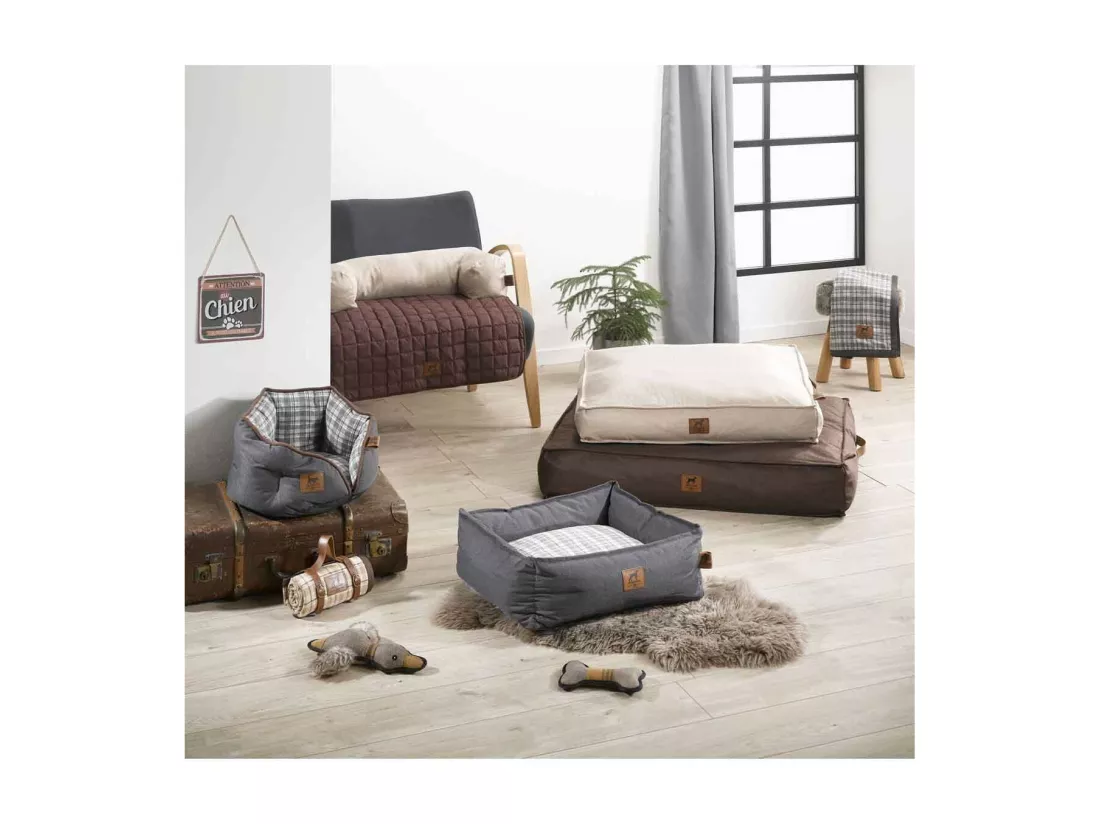 Jouet pour Chien Sonore 