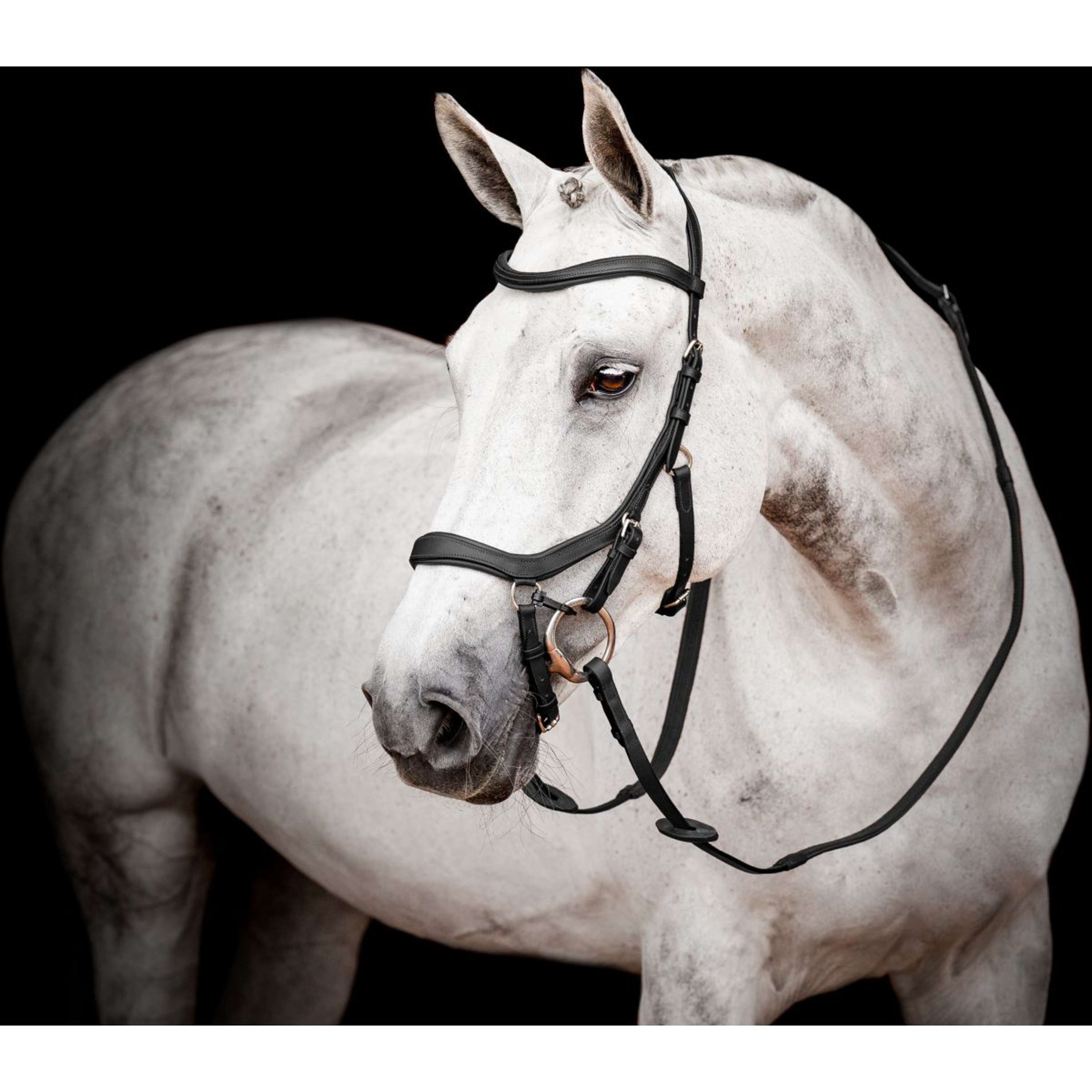 Rambo Micklem Competition Bridle New Zwart