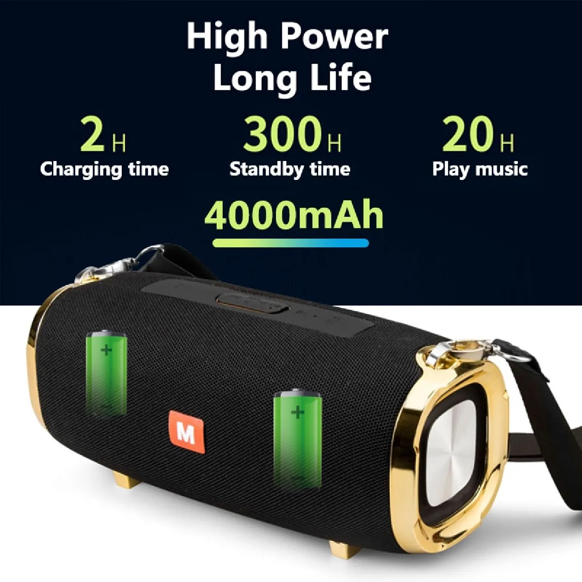 Universal Haut-parleur 50W portable - Noir