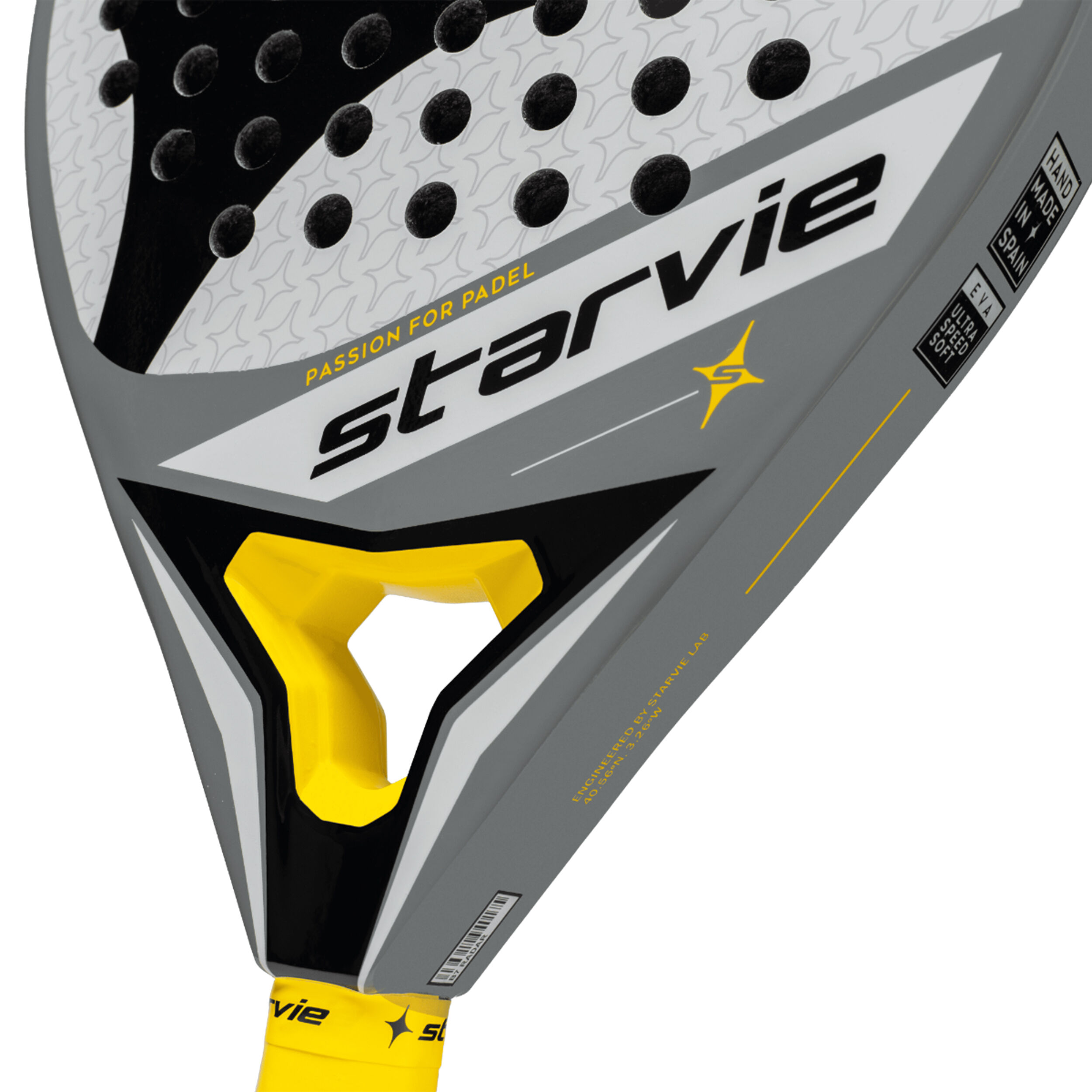 Starvie Gravity Radar