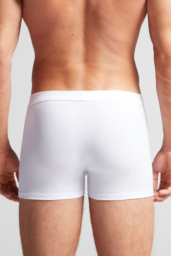 Cuecas Boxer de Algodão Supima®