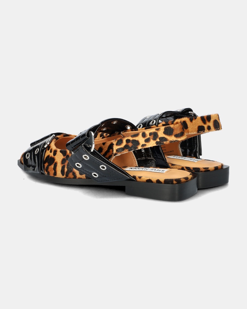 Steve Madden Grand Ave-L Ballerinas & instappers  - zwart